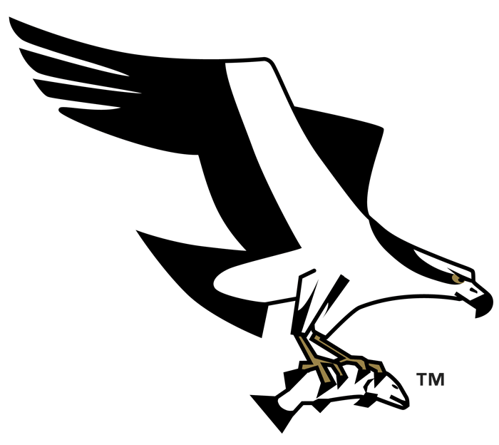 Missoula Osprey 1999-Pres Alternate Logo iron on transfers for clothing